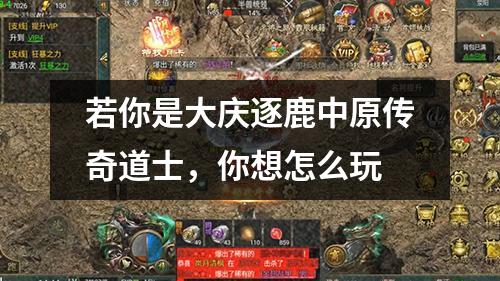 若你是大庆逐鹿中原传奇道士，你想怎么玩