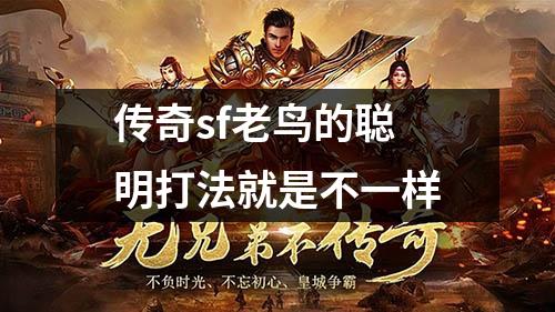 传奇sf老鸟的聪明打法就是不一样