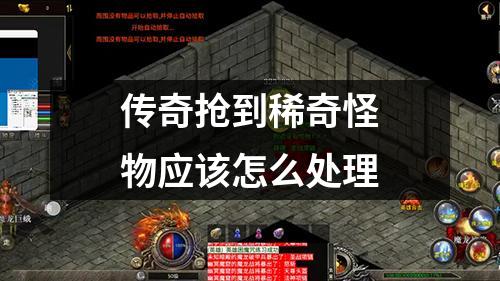 传奇抢到稀奇怪物应该怎么处理